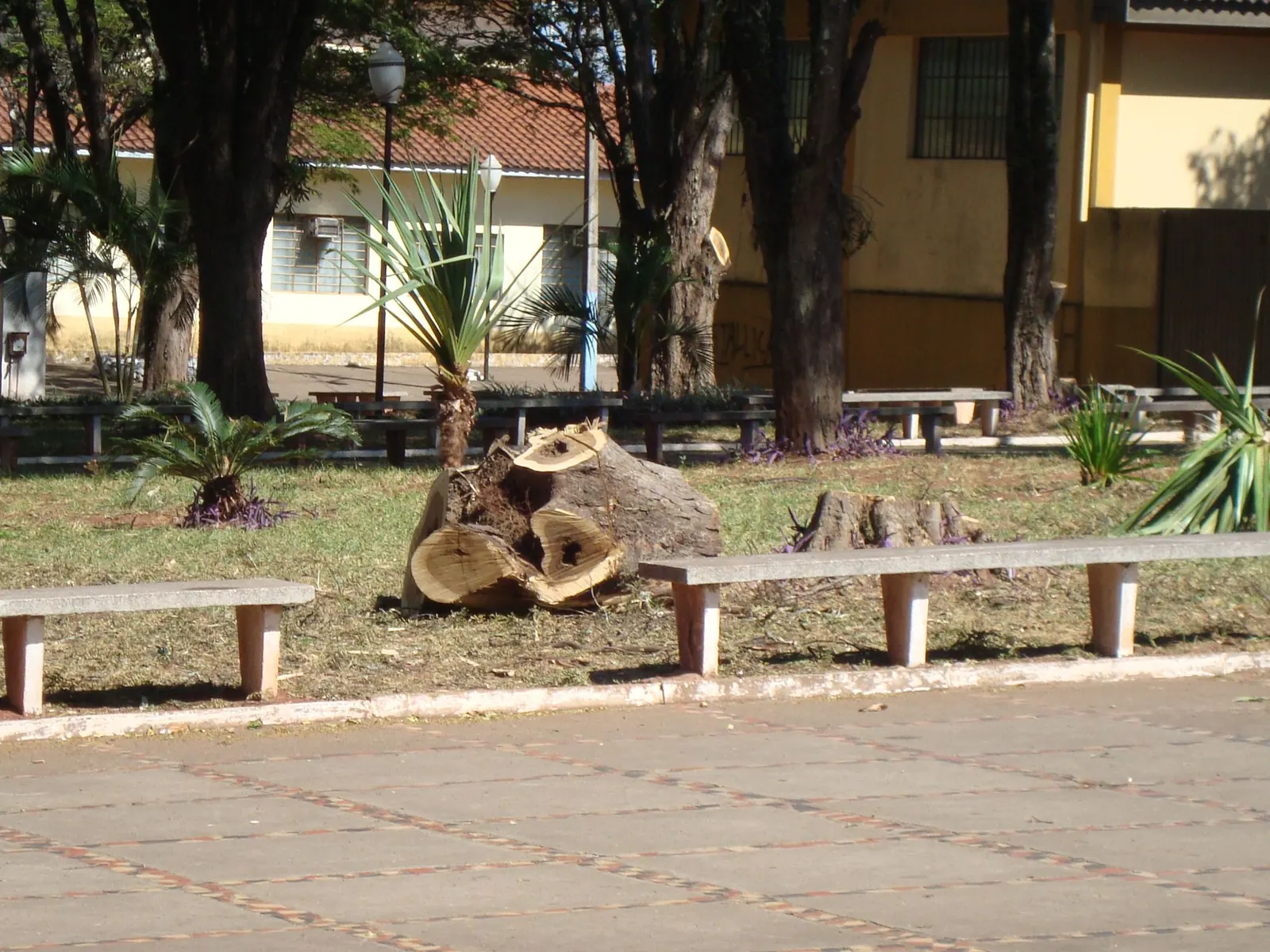 Festas e tradições — foto 20